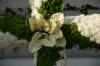 cruces2010amigosdech2_small.jpg