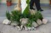 cruces2010amigosdech4_small.jpg