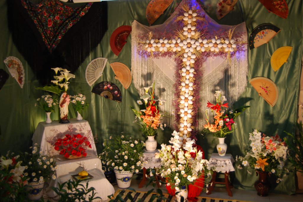 cruces2010amusi.jpg