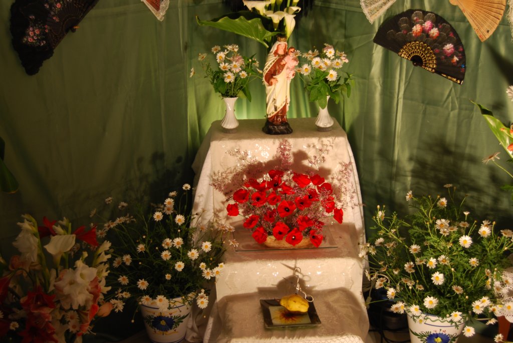 cruces2010amusi10.jpg