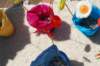 cruces2010asmuvi4_small.jpg