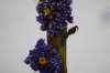 cruces2010rodalquilar17_small.jpg