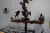 cruces2010rodalquilar20_small.jpg